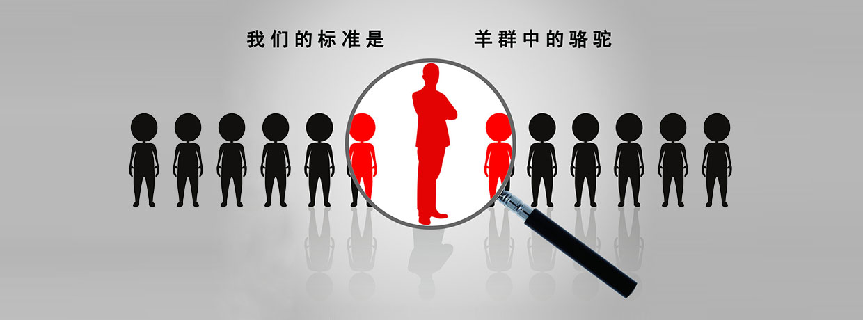 联系金澳海